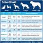Fromm Puppy Gold Feeding Chart