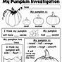 Pumpkin Worksheet Kindergarten