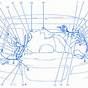 Suzuki Jimny 2017 Wiring Diagram