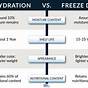 Freeze Drying Process Explained