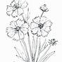 Printable Wildflower Coloring Pages