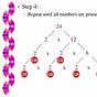 Prime Factor Tree