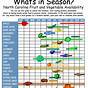When To Harvest Vegetables Chart
