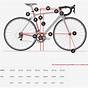 Trek Size Chart Road Bike