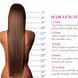 Hair Length Chart Braids