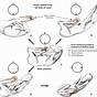 Gestation Chart For Horses