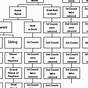 Family Tree Cousins Chart