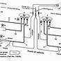 Fisher Minute Mount 2 Wiring Diagram