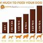 How Much Feed Puppy Chart