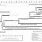 History Of Christianity Timeline Chart
