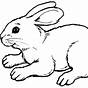 Rabbit Printable Coloring Pages