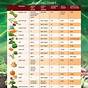 Chart For Planting Vegetable Seeds