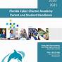 Digital Academy Of Florida Vs Florida Cyber Charter Academy