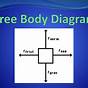 Body Diagrams Worksheet Answers