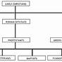 Different Branches Of Christianity Chart