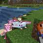 Axolotl Types Minecraft