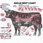 Cuts Of A Cow Chart