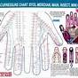 Female Foot Acupuncture Points Chart
