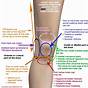 Knee Pain Symptoms Chart
