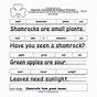 Unscramble Words Worksheets