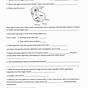 Law Of Conservation Of Energy Worksheet Answer Key