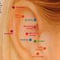 Ear Chart For Acupuncture