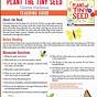 Plant The Tiny Seed Pdf