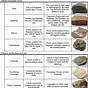 Sedimentary Rocks Worksheet Pdf