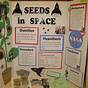 Science Project Ideas Fifth Grade