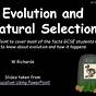 Natural Selection Evolution Examples