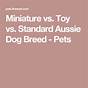 Toy Miniature Australian Shepherd Size Chart