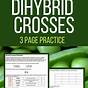 Worksheet Dihybrid Crosses Answers