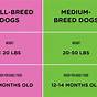 Transition Dog Food Chart