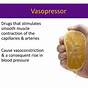 Inotropes And Vasopressors Circulation