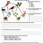 Food Web Activity 4th Grade