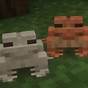 What Is The Rarest Frog In Minecraft