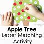 Apple Tree Life Cycle Preschool