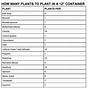 Vegetable Container Size Chart