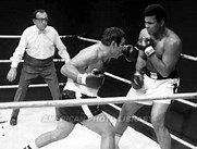 Image result for rocky marciano fighting