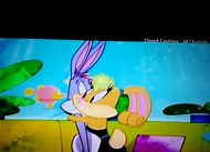 Image result for bugs bunny kissing people