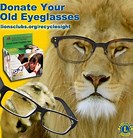 Image result for lions in spectacles