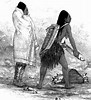 Image result for Chinook people