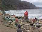Image result for Hawaii Pollution