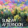 Image result for sunday afternoon