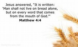 Image result for Matthew 4:4