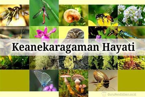 keanekaragaman hayati