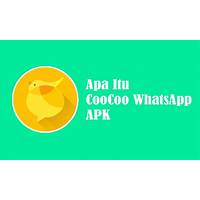 Aplikasi Coocoo WhatsApp: Alternatif Baru untuk Chatting di Indonesia