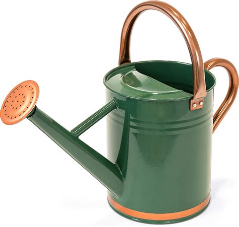 watering can or hose