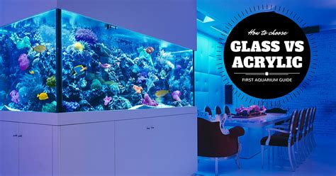 Glass vs Acrylic Fish Tank Images