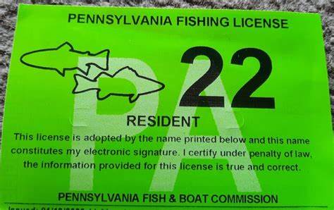 fishing license price